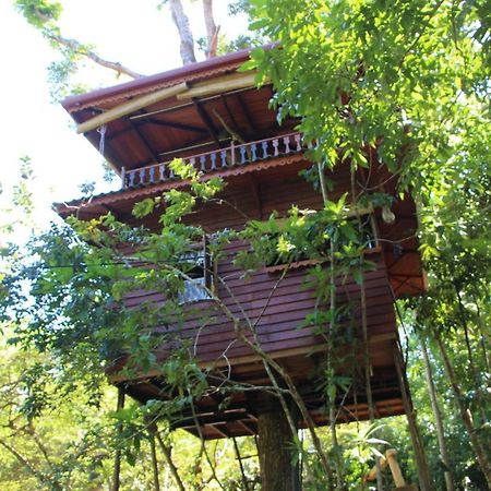Tree House-Midigama Villa Weligama Exterior photo