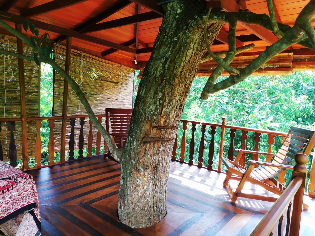 Tree House-Midigama Villa Weligama Exterior photo